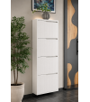 Modern 4 Kapaklı Çok Amaçlı Ayakkabılık Dolabı