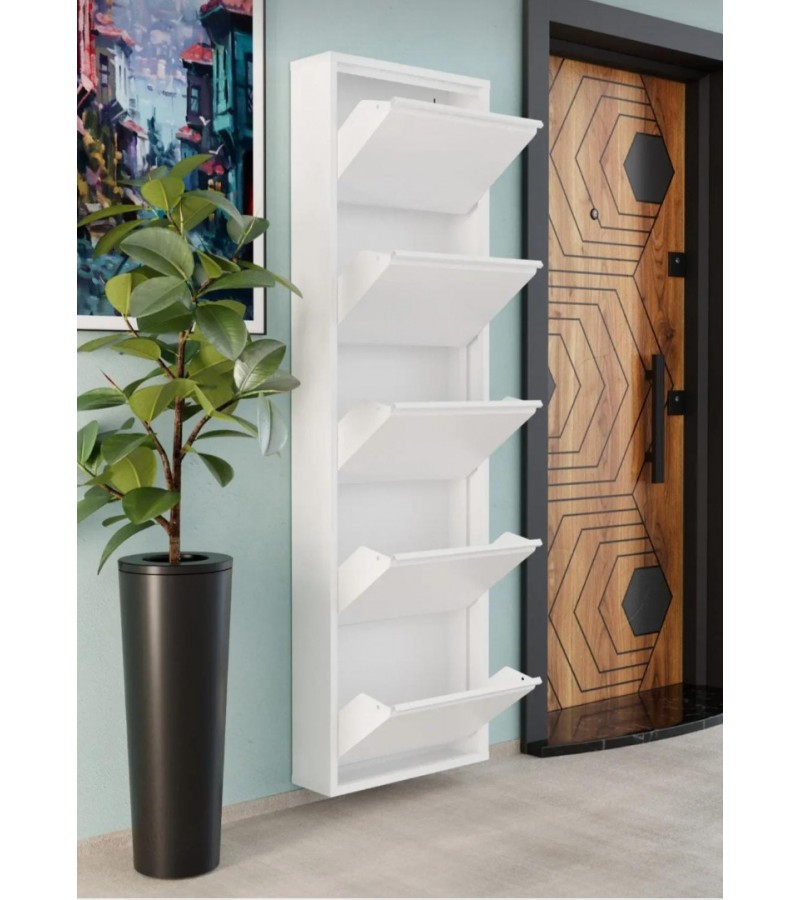 Modern 5 Kapaklı Çok Amaçlı Ayakkabılık Dolabı