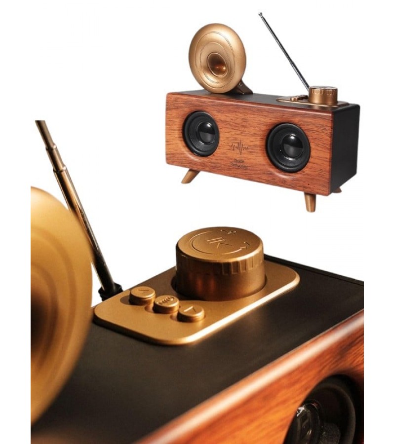 B6 SPEAKER HOPARLÖR