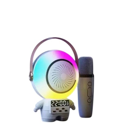 XM-X66 KARAOKE MİKROFON