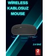PG-908 MOUSE