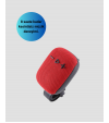 Motor Speaker