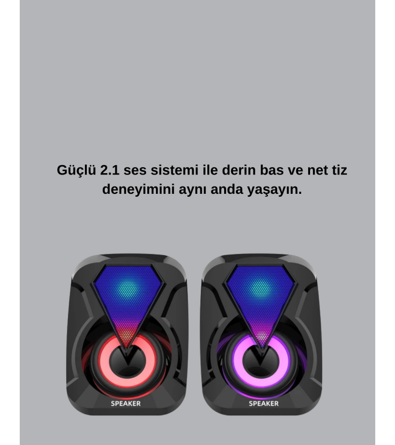 Renkli LED Işıklı Hoparlör