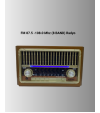 Radyo Destekli Hoparlör