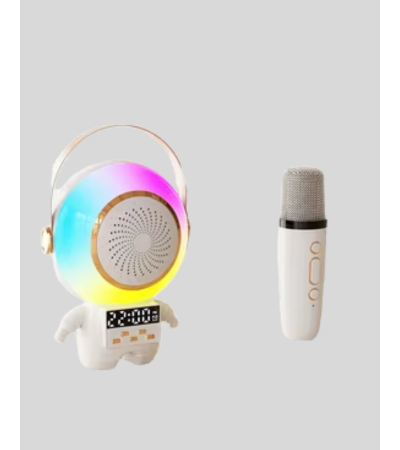 TK-66 KARAOKE SPEAKER