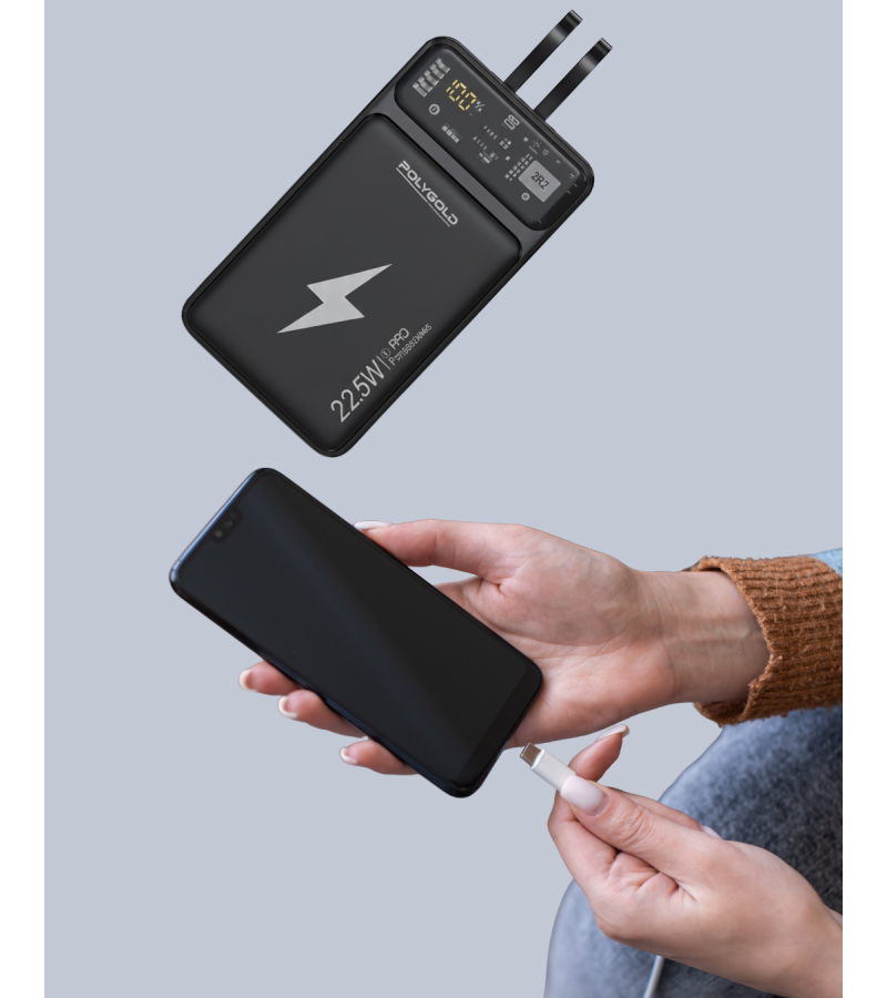 Pgpw10 Powerbank
