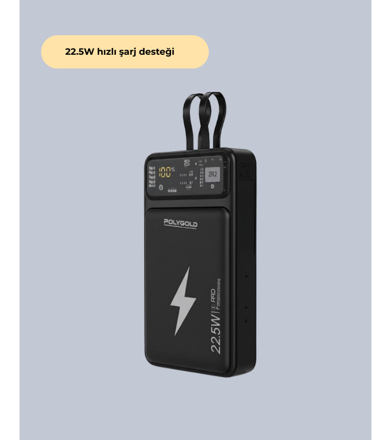 Pgpw10 Powerbank