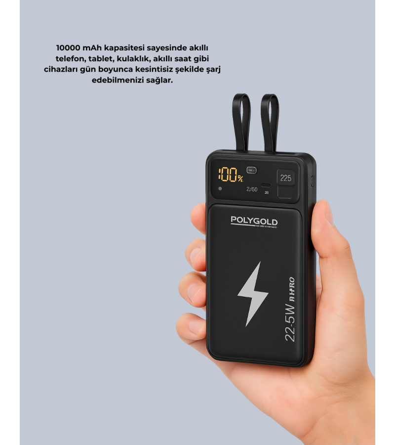 Pgpw10 Powerbank