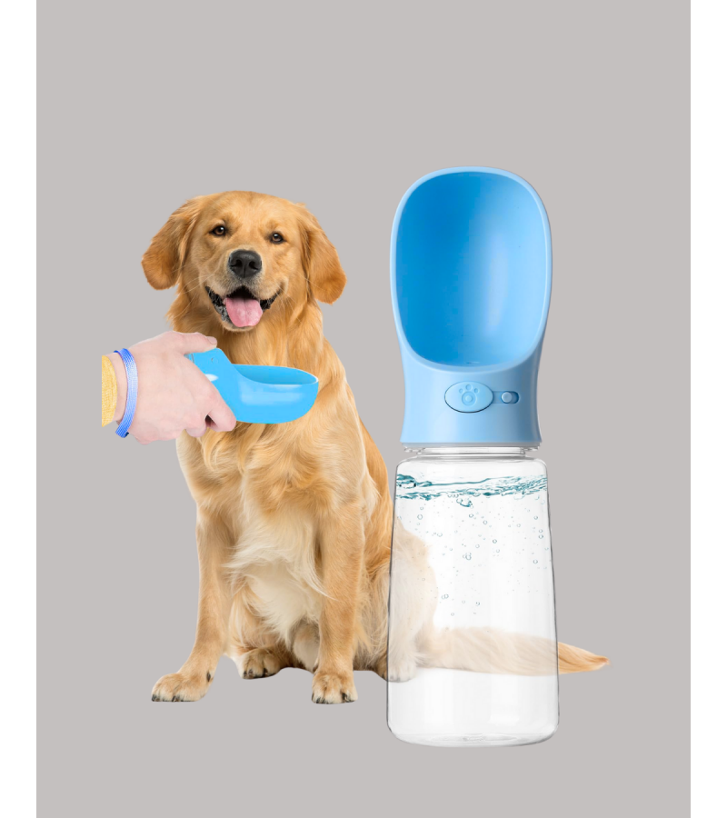 KÖPEK SULUĞU