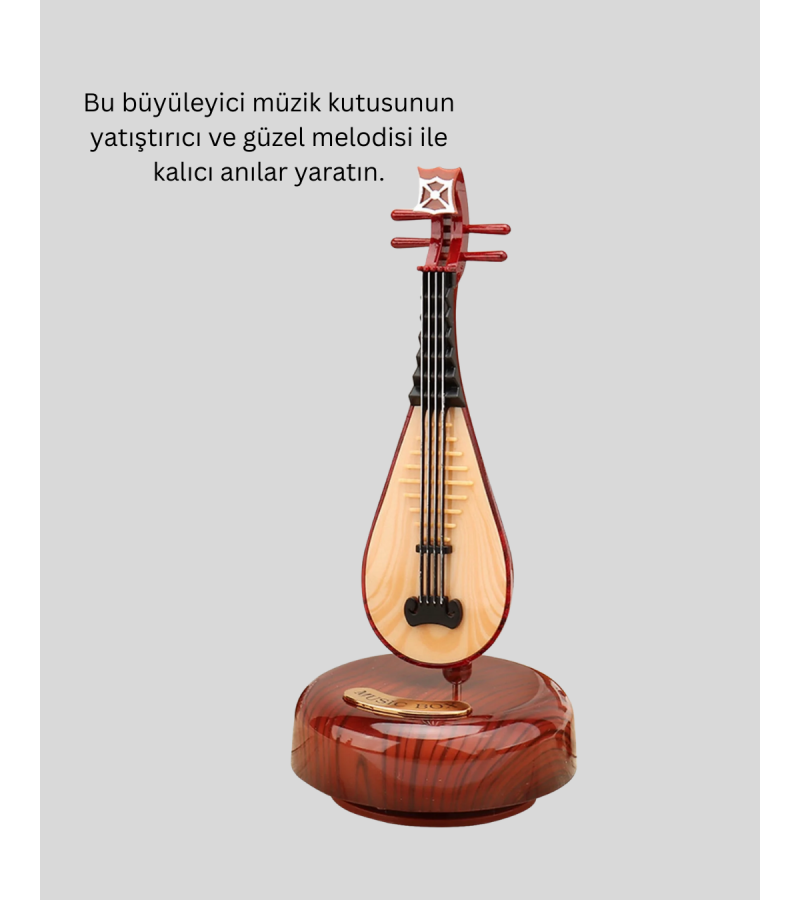 Pipa Müzik Kutusu