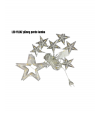 YILDIZ PERİ LED