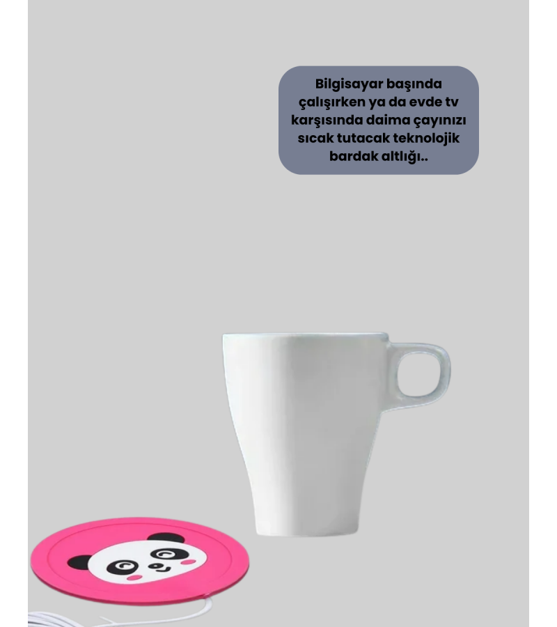 USB BARDAK ISITICI PANDA