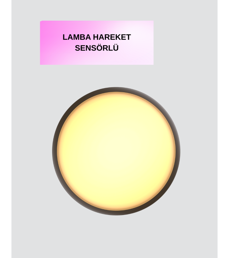 V010 LED V010 LED